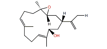 Lobocrassin E